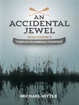 cover image of An Accidental Jewel